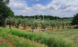 Zemljiste, Kaštelir-Labinci, Kaštelir, prodaja, 45000 €, 3276 m2