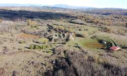 Zemljiste, Pazin, Trviž, prodaja, 53850 €, 20762 m2