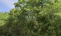 Zemljiste, Marčana, Peruški, prodaja, 291300 €, 41610 m2