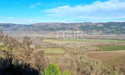 Kuca, Motovun, prodaja, 326000 €, 200 m2