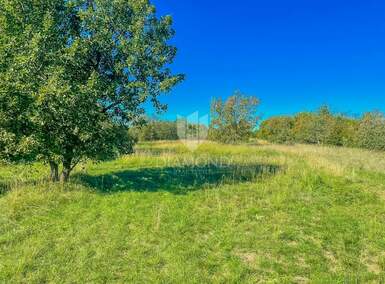 Zemljiste, Grožnjan, prodaja, 220000 €, 2989 m2