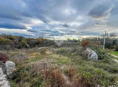 Zemljiste, Barban, Šajini, prodaja, 200000 €, 3026 m2