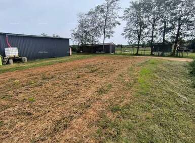 Zemljiste, Brtonigla, prodaja, 155000 €, 0 m2