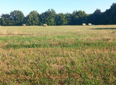 Zemljiste, Svetvinčenat, Pusti, prodaja, 68000 €, 8182 m2