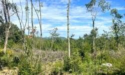 Zemljiste, Labin, prodaja, 150000 €, 9218 m2