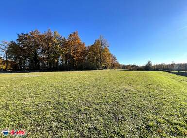 Zemljiste, Barban, prodaja, 250000 €, 5895 m2