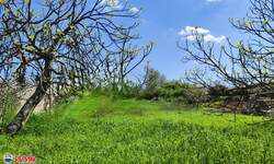 Zemljiste, Barban, prodaja, 84000 €, 1300 m2