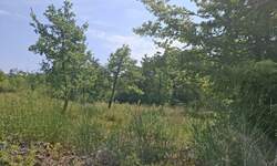 Zemljiste, Labin, prodaja, 110000 €, 1800 m2