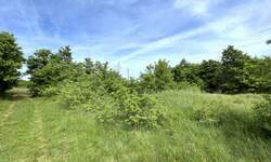 Zemljiste, Barban, prodaja, 50000 €, 9352 m2