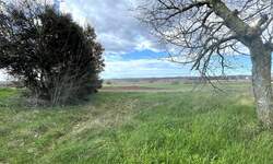 Zemljiste, Barban, prodaja, 21000 €, 1940 m2