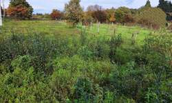 Zemljiste, Labin, prodaja, 64900 €, 1980 m2