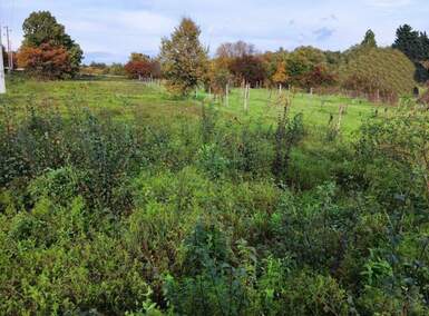 Zemljiste, Labin, prodaja, 64900 €, 1980 m2