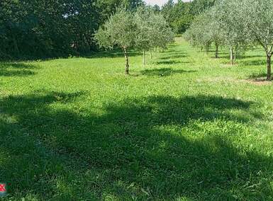 Zemljiste, Barban, prodaja, 70000 €, 9237 m2