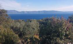 Zemljiste, Labin, prodaja, 220 €, 6115 m2