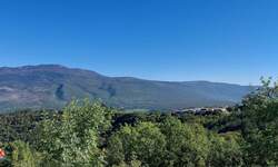 Zemljiste, Pazin, Beram, prodaja, 88000 €, 33000 m2