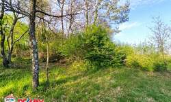 Zemljiste, Barban, Glavani, prodaja, 250000 €, 6800 m2