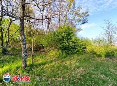 Zemljiste, Barban, Glavani, prodaja, 250000 €, 6800 m2