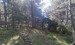 Zemljiste, Kršan, Plomin, prodaja, 148000 €, 28404 m2