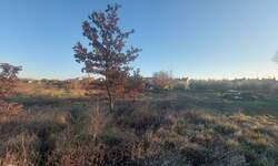 Zemljiste, Umag, prodaja, 331800 €, 1580 m2