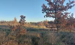 Zemljiste, Umag, prodaja, 750000 €, 3000 m2