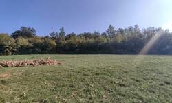 Zemljiste, Labin, prodaja, 215000 €, 4300 m2