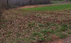 Zemljiste, Barban, prodaja, 55000 €, 11669 m2