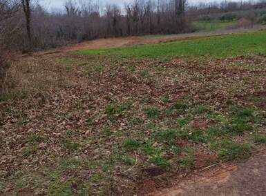 Zemljiste, Barban, prodaja, 55000 €, 11669 m2