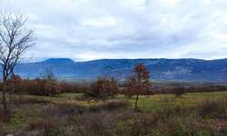 Zemljiste, Kršan, prodaja, 250000 €, 9045 m2