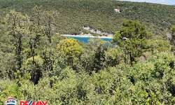 Zemljiste, Marčana, Peruški, prodaja, 29850 €, 597 m2