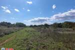 Zemljiste, Barban, Manjadvorci, prodaja, 8 €, 4421 m2