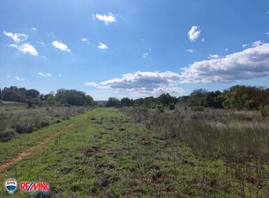 Zemljiste, Barban, Manjadvorci, prodaja, 8 €, 4421 m2