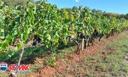 Zemljiste, Barban, Šajini, prodaja, 80400 €, 20100 m2