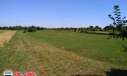 Zemljiste, Barban, Šajini, prodaja, 49800 €, 12400 m2