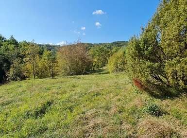 Kuca, Lupoglav, Boljun, prodaja, 340000 €, 41362 m2