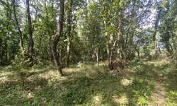 Zemljiste, Labin, prodaja, 45000 €, 14416 m2