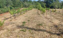 Zemljiste, Labin, prodaja, 18000 €, 4838 m2