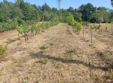 Zemljiste, Labin, prodaja, 18000 €, 4838 m2