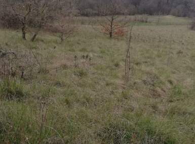 Zemljiste, Labin, prodaja, 139000 €, 1625 m2