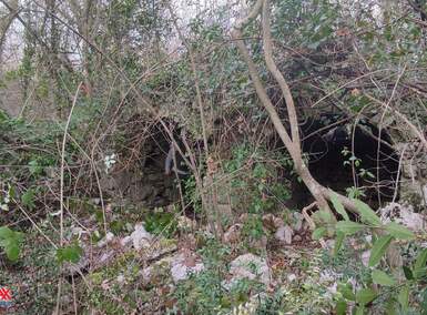 Kuca, Kršan, Stepčići, prodaja, 59500 €, 19866 m2