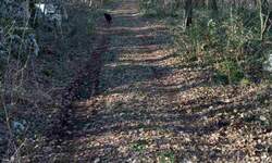 Zemljiste, Sveta Nedelja, Šumber, prodaja, 121310 €, 48524 m2