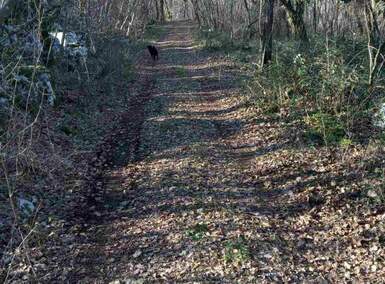 Zemljiste, Sveta Nedelja, Šumber, prodaja, 121310 €, 48524 m2