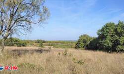 Zemljiste, Marčana, Peruški, prodaja, 240000 €, 9224 m2