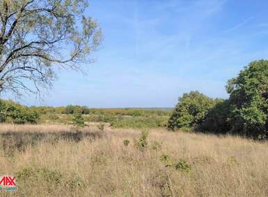 Zemljiste, Marčana, Peruški, prodaja, 240000 €, 9224 m2