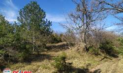 Zemljiste, Lupoglav, Lesišćina, prodaja, 129500 €, 36994 m2
