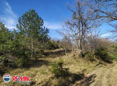 Zemljiste, Lupoglav, Lesišćina, prodaja, 129500 €, 36994 m2