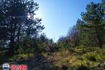 Zemljiste, Lupoglav, Lesišćina, prodaja, 129500 €, 36994 m2