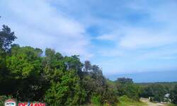 Zemljiste, Marčana, Kavran, prodaja, 289000 €, 14448 m2