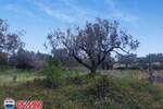 Zemljiste, Fažana, prodaja, 475000 €, 734 m2