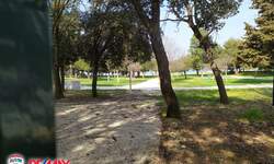 Zemljiste, Fažana, prodaja, 230000 €, 1055 m2