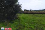 Zemljiste, Fažana, prodaja, 230000 €, 1055 m2